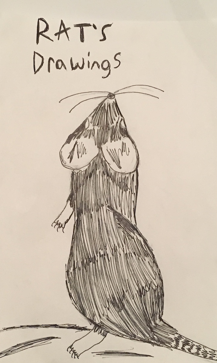 Rat's Drawings